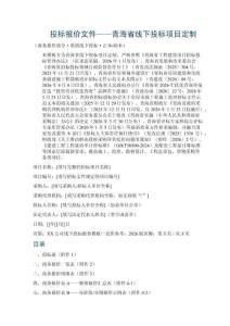 投标报价文件——青海省线下投标项目定制