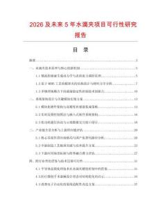 2026及未來5年水滴夾項目可行性研究報告