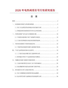 2026年電熱閥項目可行性研究報告