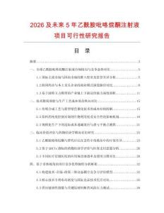 2026及未来5年乙酰胺吡咯烷酮注射液项目可行性研究报告