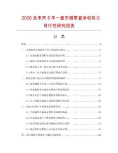 2026及未來5年一復五磁帶復錄機項目可行性研究報告