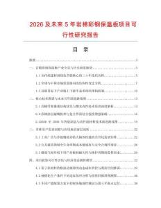 2026及未來5年巖棉彩鋼保溫板項目可行性研究報告