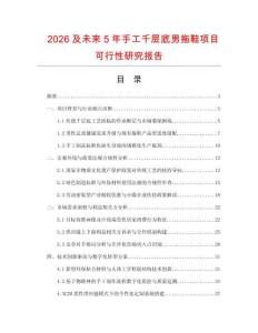 2026及未來5年手工千層底男拖鞋項目可行性研究報告