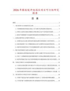 2026年橡胶缓冲块端头项目可行性研究报告