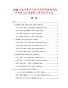 2026及未來5年中國多畫面彩色電視燈市場現狀數據分析及前景預測報告