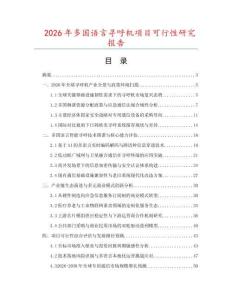 2026年多国语言寻呼机项目可行性研究报告