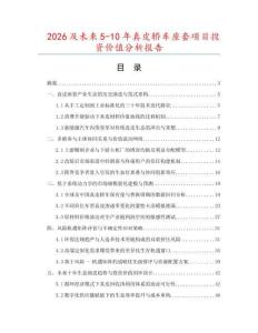 2026及未来5-10年真皮轿车座套项目投资价值分析报告