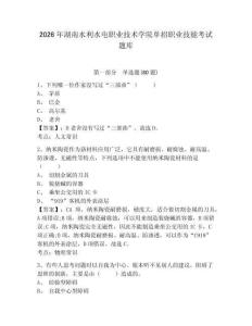 2026年湖南水利水電職業(yè)技術(shù)學(xué)院單招職業(yè)技能考試題庫含答案詳解（綜合題）