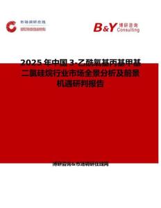 2025年中國(guó)3-乙酰氧基丙基甲基二氯硅烷行業(yè)市場(chǎng)全景分析及前景機(jī)遇研判報(bào)告