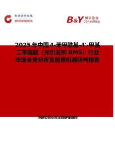 2025年中國(guó)4-苯甲酰基-4′-甲基二苯硫醚（光引發(fā)劑 BMS）行業(yè)市場(chǎng)全景分析及前景機(jī)遇研判報(bào)告