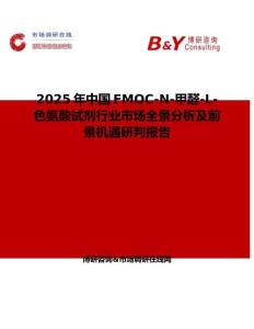 2025年中國(guó)FMOC-N-甲醛-L-色氨酸試劑行業(yè)市場(chǎng)全景分析及前景機(jī)遇研判報(bào)告
