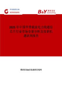 2025年中國窄帶載波電力線通信芯片行業市場全景分析及前景機遇研判報告