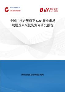 中國(guó)廣汽吉奧旗下SUV行業(yè)市場(chǎng)規(guī)模及未來(lái)投資方向研究報(bào)告