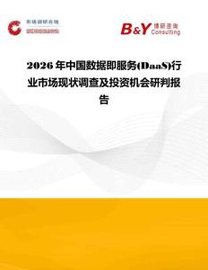 2026年中國數據即服務(DaaS)行業市場現狀調查及投資機會研判報告