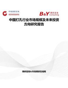 中國打孔行業市場規模及未來投資方向研究報告