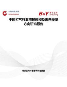 中国打气行业市场规模及未来投资方向研究报告