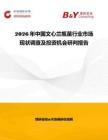 2026年中國文心蘭瓶苗行業(yè)市場現(xiàn)狀調(diào)查及投資機(jī)會研判報告