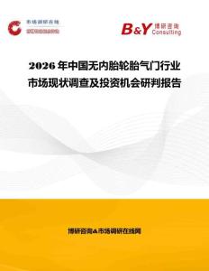 2026年中國無內胎輪胎氣門行業市場現狀調查及投資機會研判報告