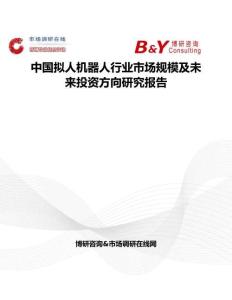 中國(guó)擬人機(jī)器人行業(yè)市場(chǎng)規(guī)模及未來(lái)投資方向研究報(bào)告