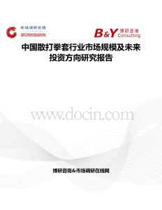 中国散打拳套行业市场规模及未来投资方向研究报告