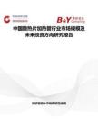 中國散熱片加熱管行業市場規模及未來投資方向研究報告