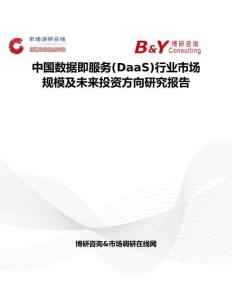 中國數據即服務(DaaS)行業市場規模及未來投資方向研究報告