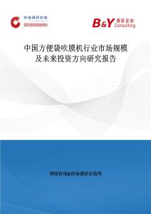 中國方便袋吹膜機行業市場規模及未來投資方向研究報告