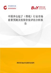 中國沖擊起子（帶線）行業市場前景預測及投資價值評估分析報告