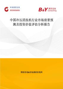 中國冷壓清洗機行業市場前景預測及投資價值評估分析報告