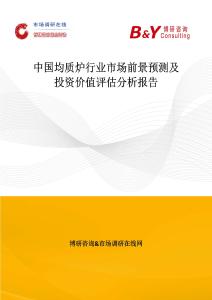 中國均質爐行業市場前景預測及投資價值評估分析報告