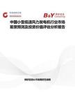 中國小型低速風力發電機行業市場前景預測及投資價值評估分析報告