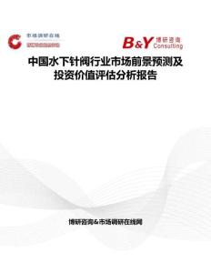 中國水下針閥行業(yè)市場前景預測及投資價值評估分析報告