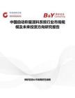 中國自動(dòng)稱量混料系統(tǒng)行業(yè)市場(chǎng)規(guī)模及未來投資方向研究報(bào)告