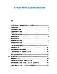 電子商務(wù)平臺競爭格局及盈利模式分析研究報告