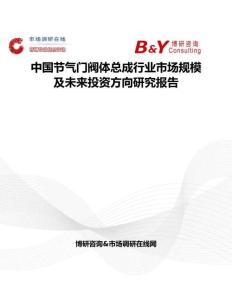 中國節(jié)氣門閥體總成行業(yè)市場規(guī)模及未來投資方向研究報告