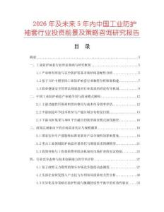 2026年及未來5年內中國工業防護袖套行業投資前景及策略咨詢研究報告