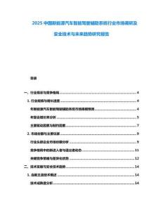 2025中國新能源汽車智能駕駛輔助系統行業市場調研及安全技術與未來趨勢研究報告