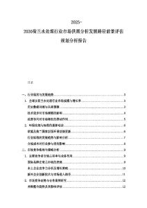 2025-2030荷蘭水處理行業市場供需分析發展路徑前景評估規劃分析報告