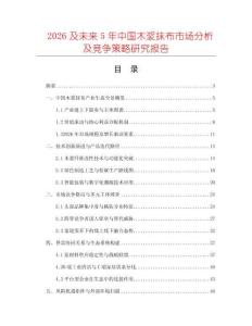 2026及未來5年中國木漿抹布市場分析及競爭策略研究報告
