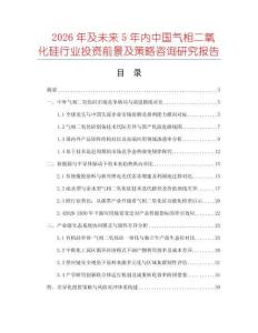 2026年及未來5年內中國氣相二氧化硅行業投資前景及策略咨詢研究報告