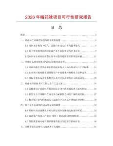 2026年暗花襪項目可行性研究報告