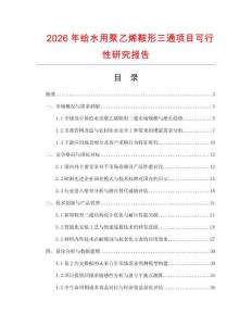 2026年給水用聚乙烯鞍形三通項目可行性研究報告