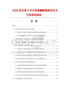 2026及未來5年中性硅酮耐候膠項目可行性研究報告