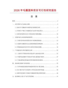2026年毛圈面料项目可行性研究报告