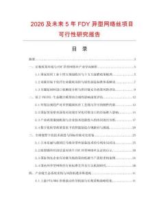 2026及未來5年FDY異型網絡絲項目可行性研究報告