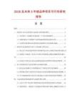 2026及未來5年繡品帶項目可行性研究報告