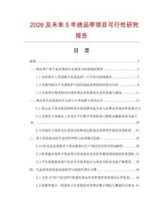 2026及未來5年繡品帶項(xiàng)目可行性研究報(bào)告