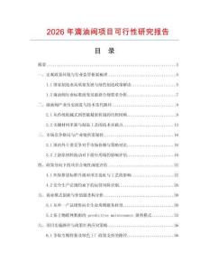 2026年滴油閥項(xiàng)目可行性研究報告