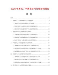 2026年男式丁字褲項目可行性研究報告