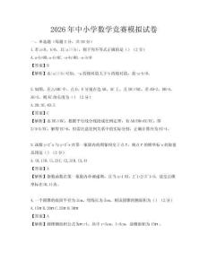 2026年中小學數學競賽模擬試卷